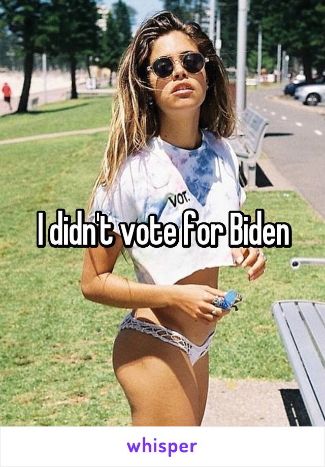 I didn't vote for Biden