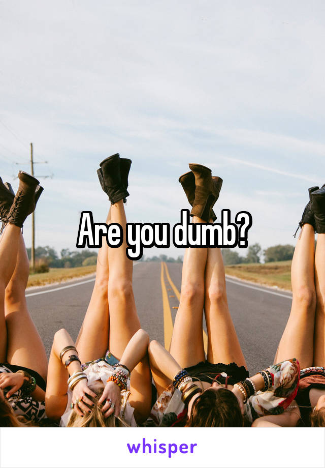 Are you dumb?