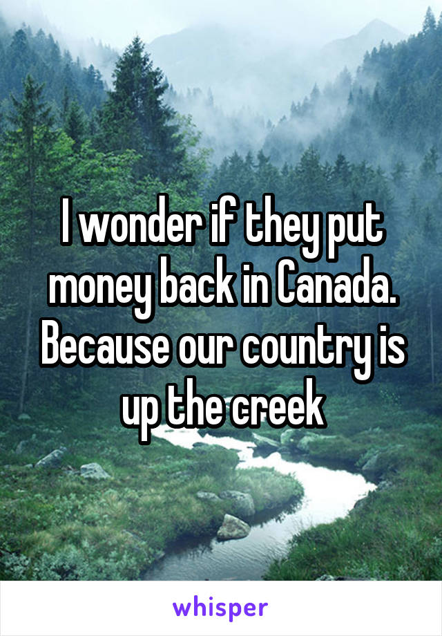 I wonder if they put money back in Canada.
Because our country is up the creek