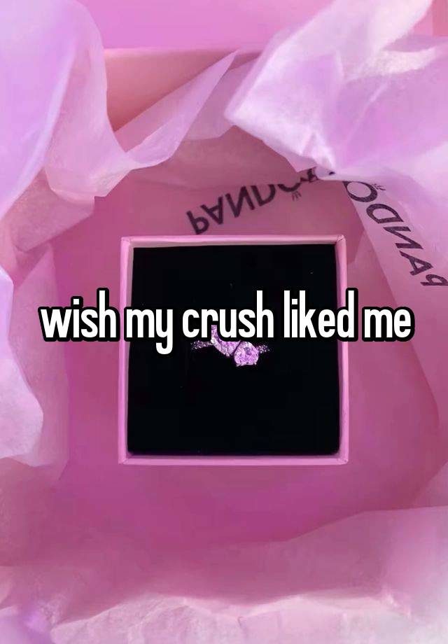 wish my crush liked me