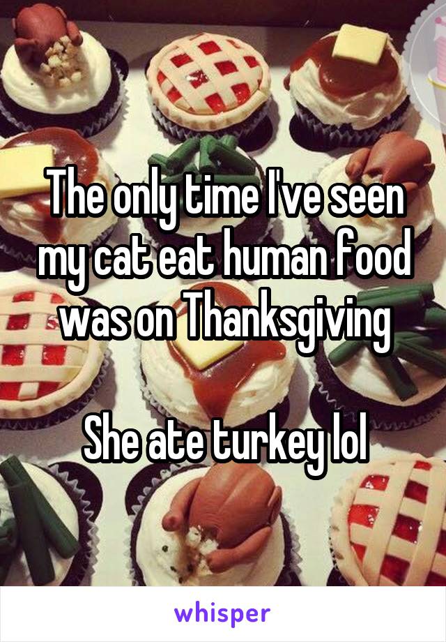 The only time I've seen my cat eat human food was on Thanksgiving

She ate turkey lol