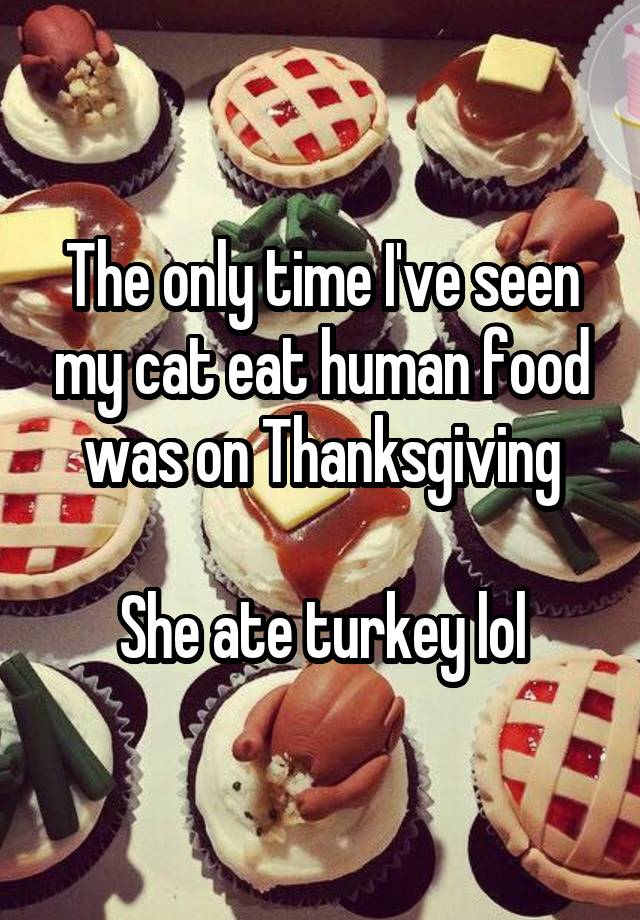 The only time I've seen my cat eat human food was on Thanksgiving

She ate turkey lol