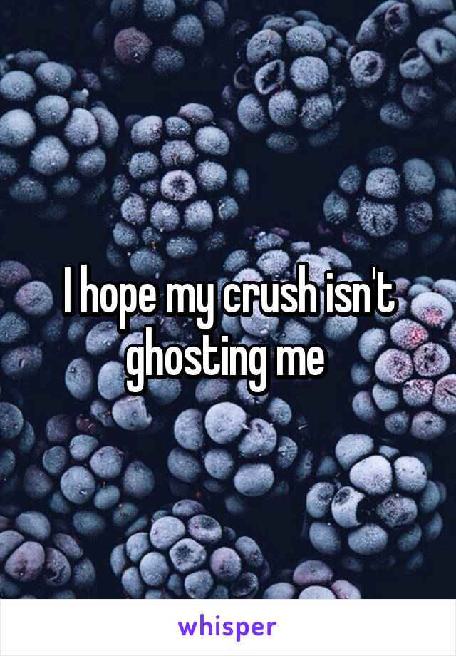 I hope my crush isn't ghosting me 