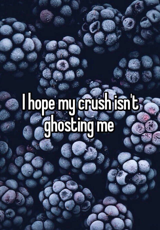 I hope my crush isn't ghosting me 