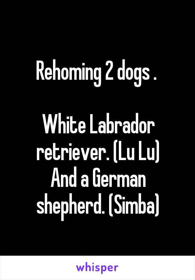 Rehoming 2 dogs . 

White Labrador retriever. (Lu Lu)
And a German shepherd. (Simba)
