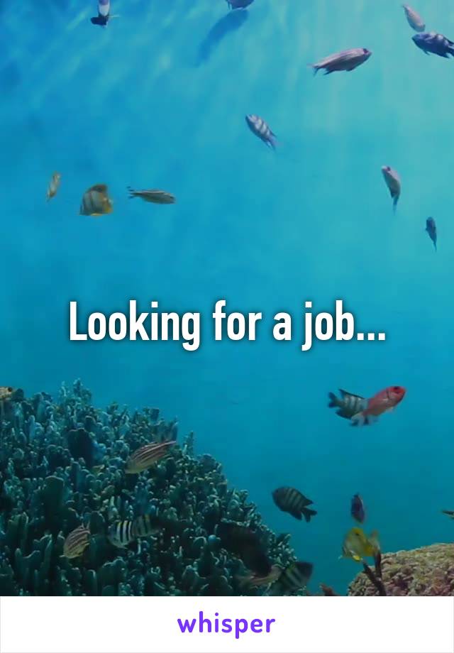 Looking for a job...