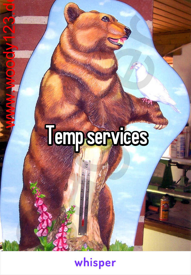 Temp services