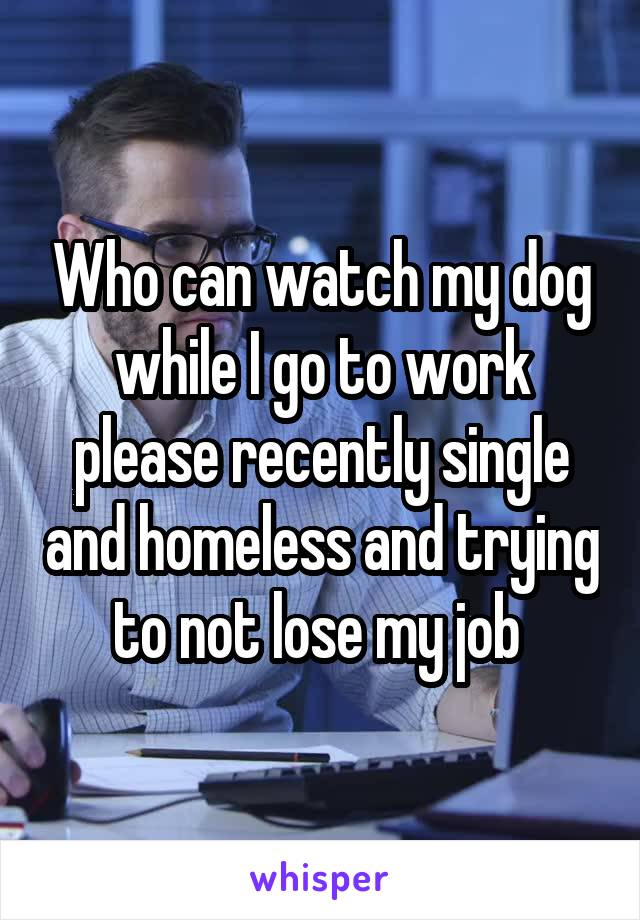 Who can watch my dog while I go to work please recently single and homeless and trying to not lose my job 