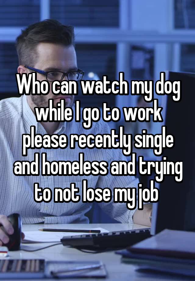 Who can watch my dog while I go to work please recently single and homeless and trying to not lose my job 