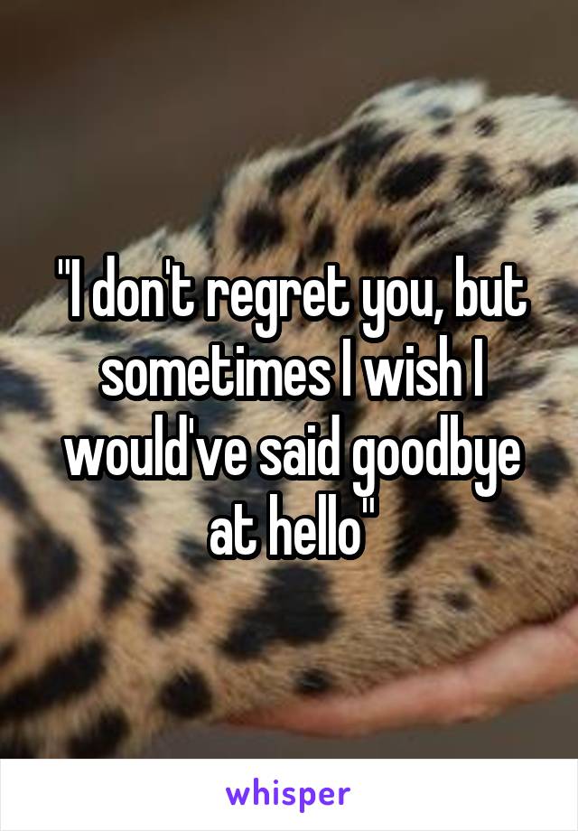 "I don't regret you, but sometimes I wish I would've said goodbye at hello"