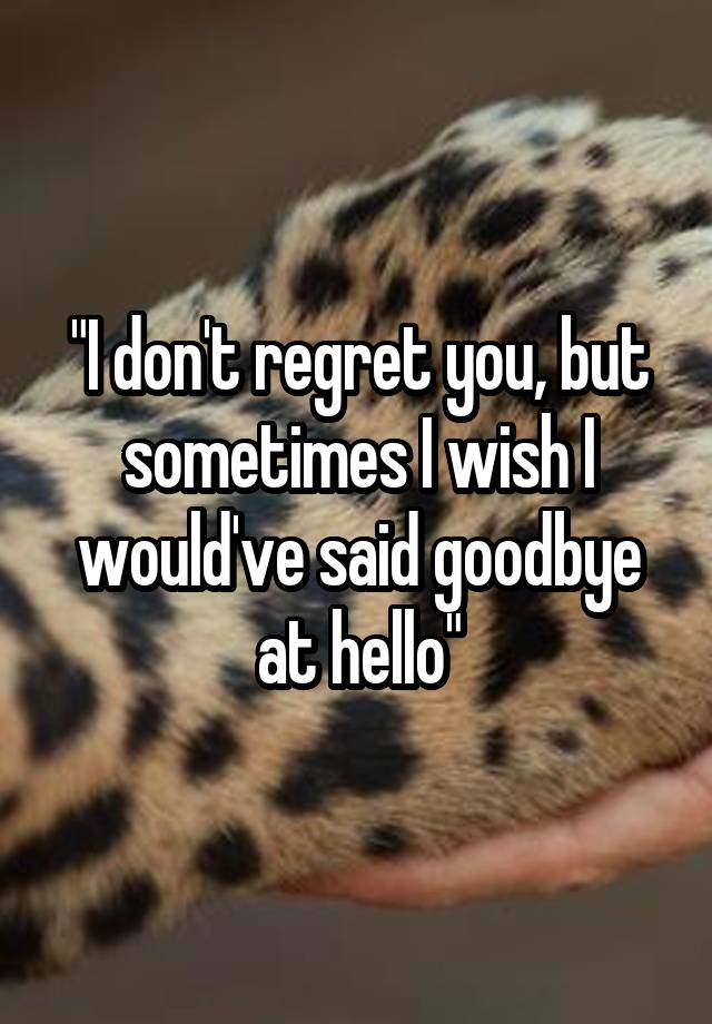 "I don't regret you, but sometimes I wish I would've said goodbye at hello"