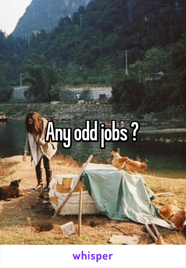 Any odd jobs ? 