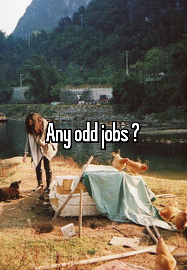 Any odd jobs ? 