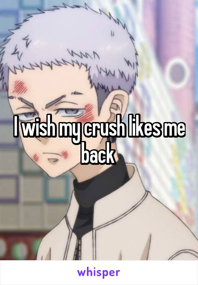 I wish my crush likes me back 