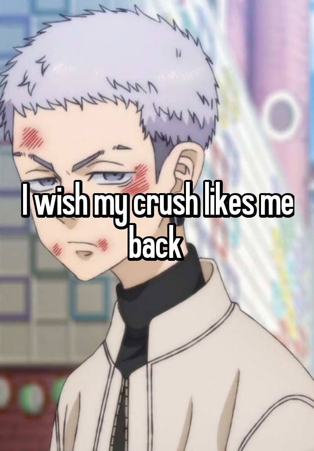 I wish my crush likes me back 