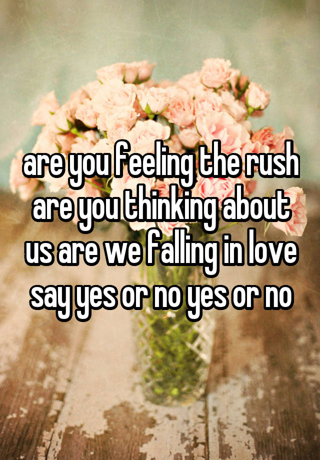 are you feeling the rush are you thinking about us are we falling in love
say yes or no yes or no