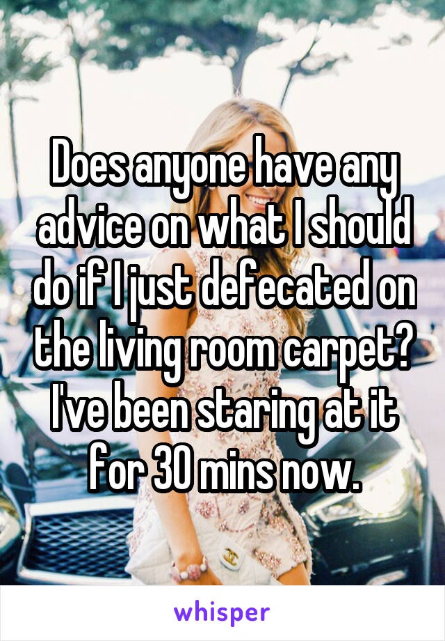 Does anyone have any advice on what I should do if I just defecated on the living room carpet? I've been staring at it for 30 mins now.