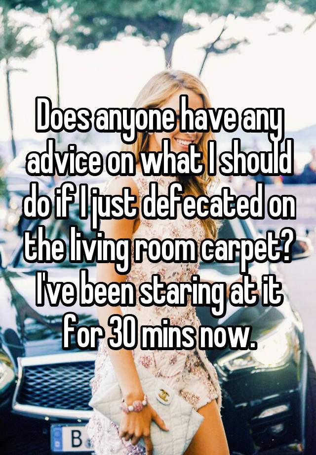 Does anyone have any advice on what I should do if I just defecated on the living room carpet? I've been staring at it for 30 mins now.