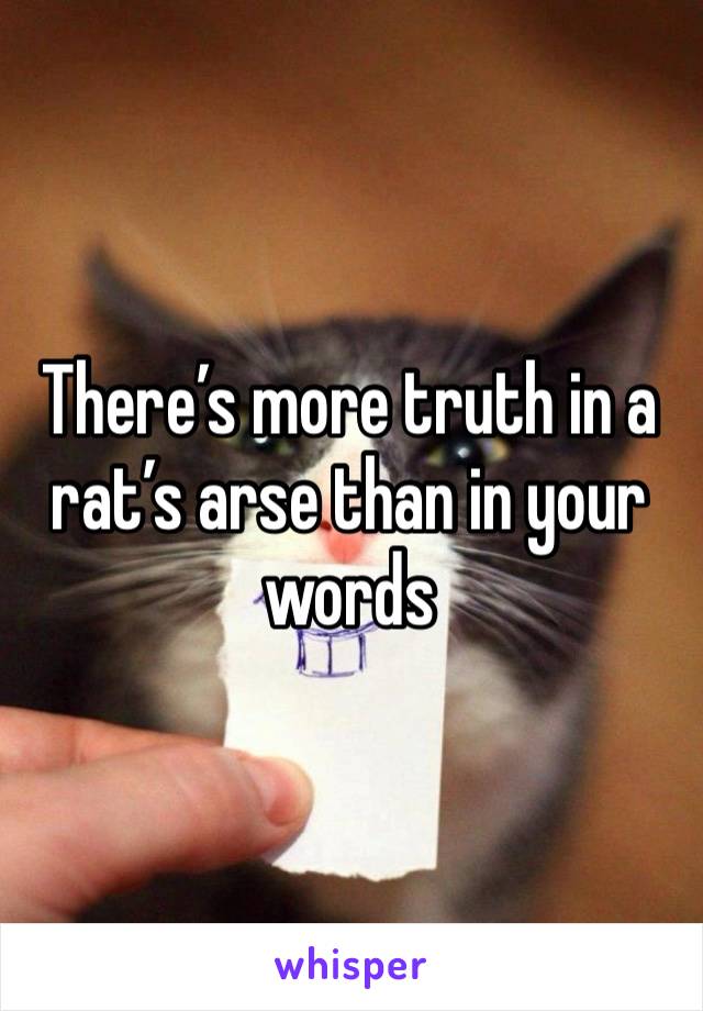 There’s more truth in a rat’s arse than in your words