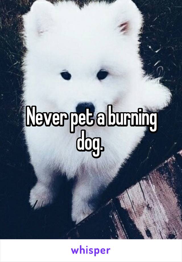 Never pet a burning dog. 