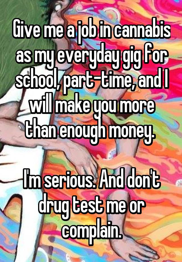 Give me a job in cannabis as my everyday gig for school, part-time, and I will make you more than enough money. 

I'm serious. And don't drug test me or complain.