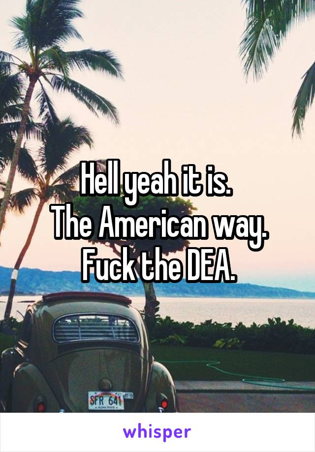 Hell yeah it is. 
The American way.
Fuck the DEA.