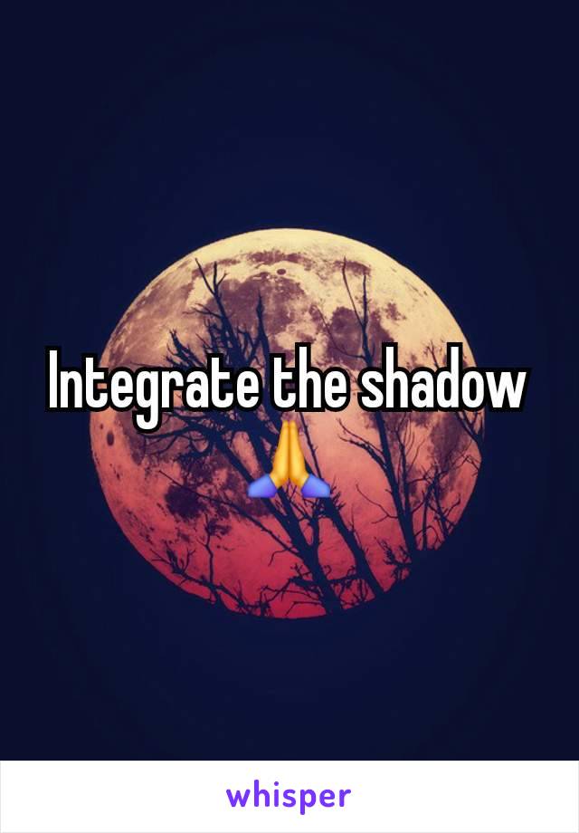 Integrate the shadow 🙏