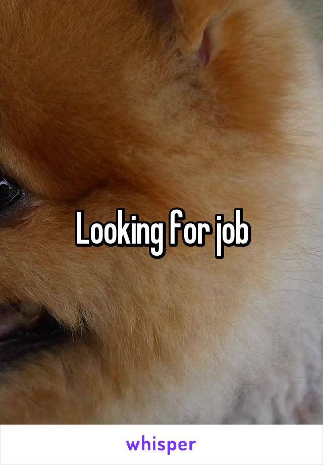 Looking for job