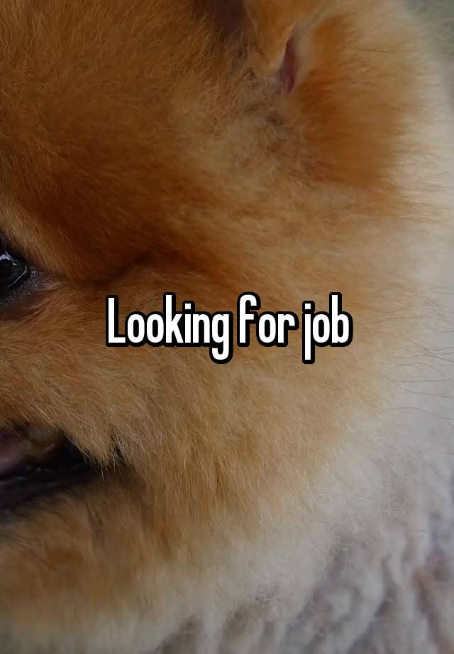 Looking for job