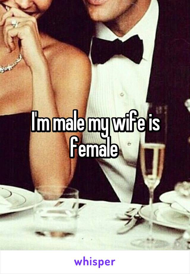 I'm male my wife is female 