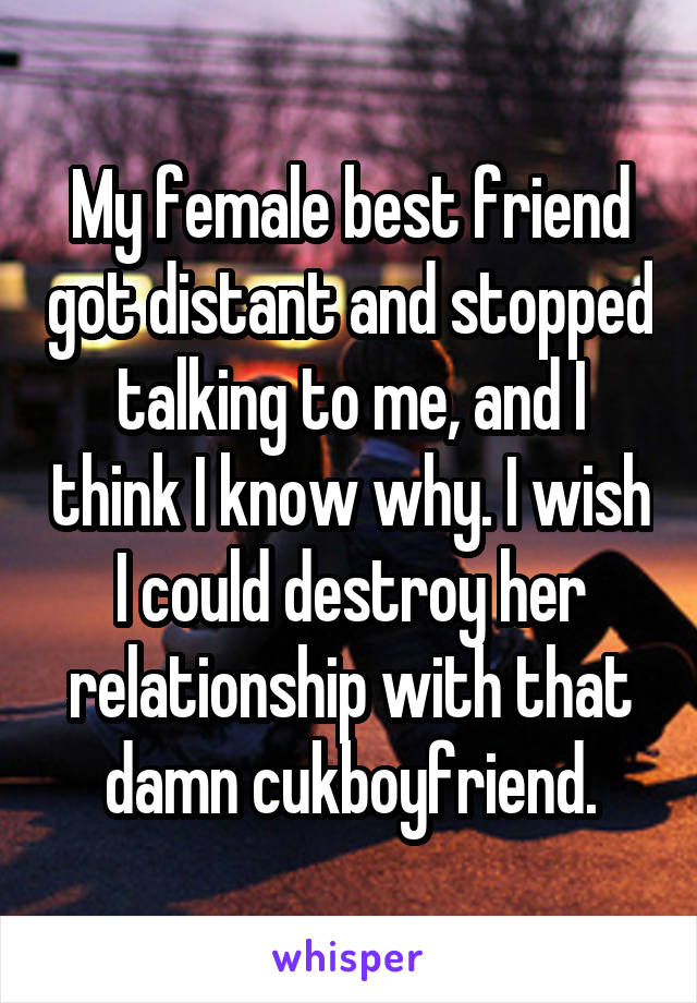 My female best friend got distant and stopped talking to me, and I think I know why. I wish I could destroy her relationship with that damn cukboyfriend.