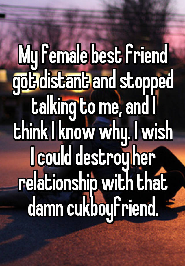 My female best friend got distant and stopped talking to me, and I think I know why. I wish I could destroy her relationship with that damn cukboyfriend.