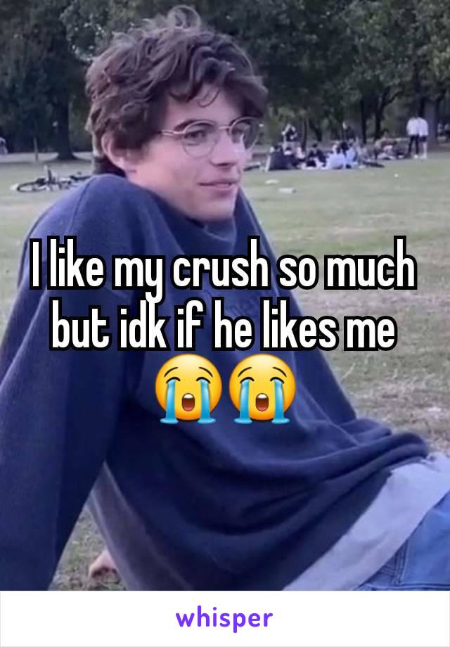 I like my crush so much but idk if he likes me😭😭