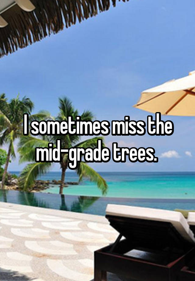 I sometimes miss the mid-grade trees. 