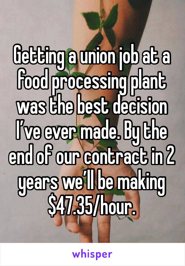 Getting a union job at a food processing plant was the best decision I’ve ever made. By the end of our contract in 2 years we’ll be making $47.35/hour. 