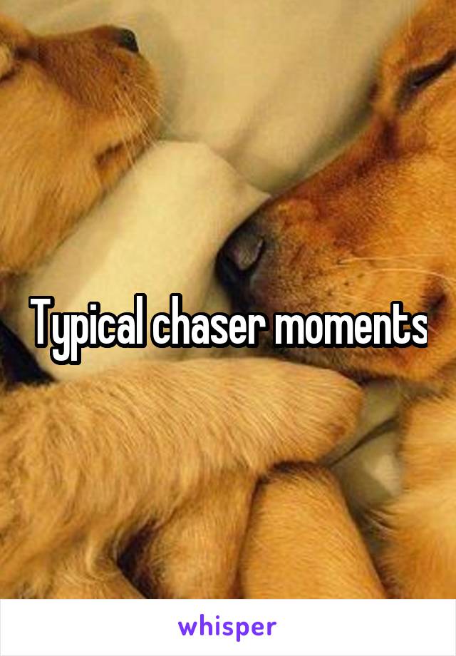 Typical chaser moments