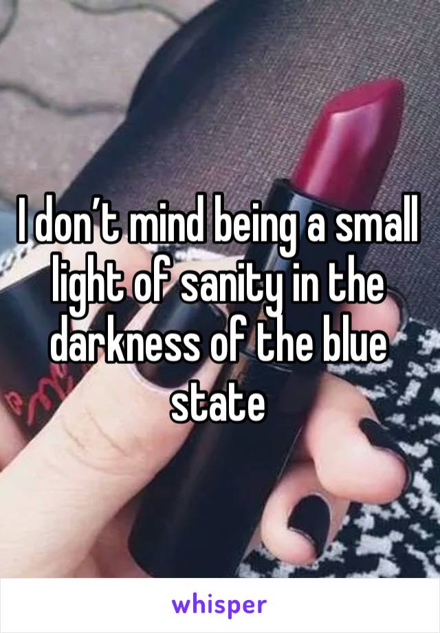 I don’t mind being a small light of sanity in the darkness of the blue state