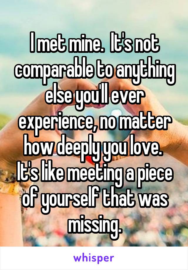 I met mine.  It's not comparable to anything else you'll ever experience, no matter how deeply you love.  It's like meeting a piece of yourself that was missing.