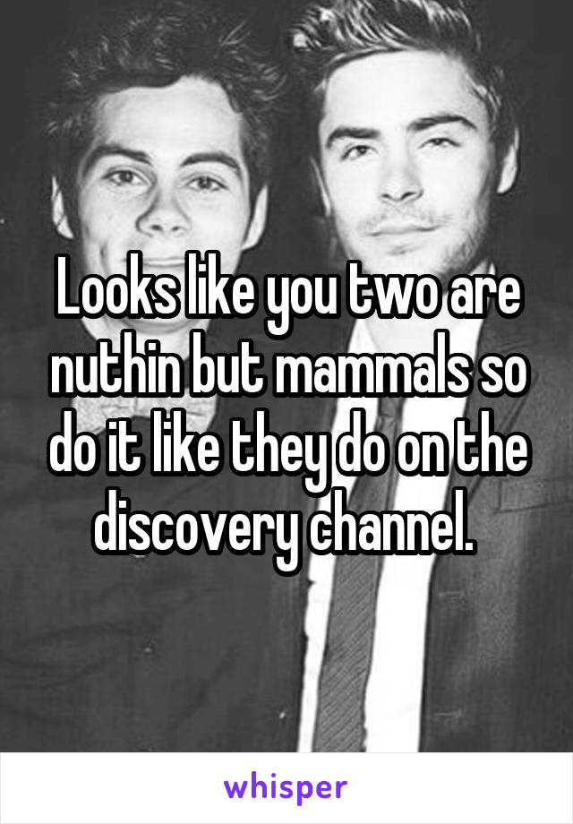 Looks like you two are nuthin but mammals so do it like they do on the discovery channel. 