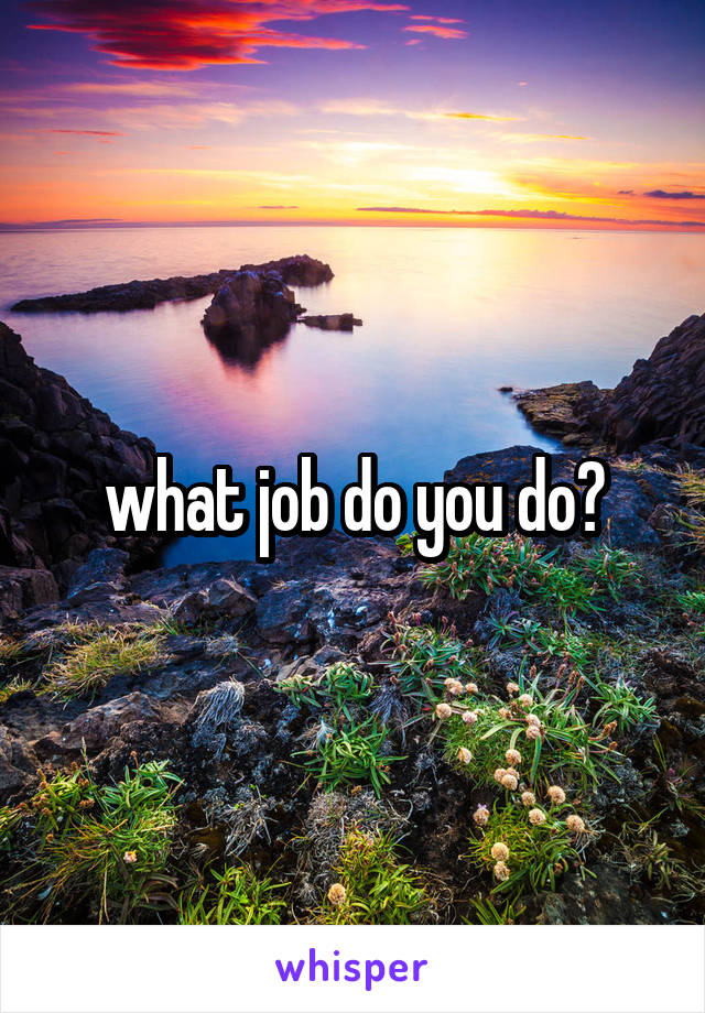 what job do you do?