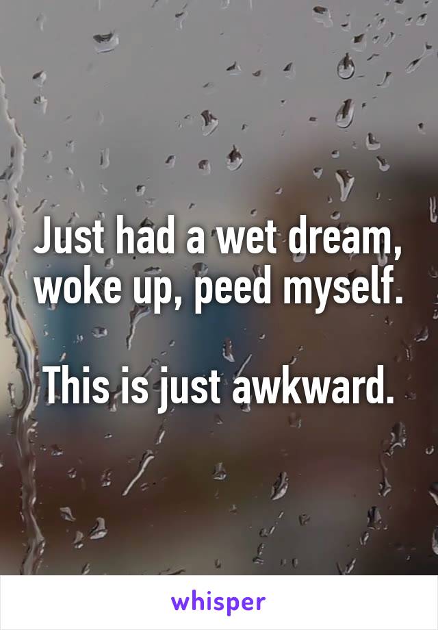 Just had a wet dream, woke up, peed myself.

This is just awkward.