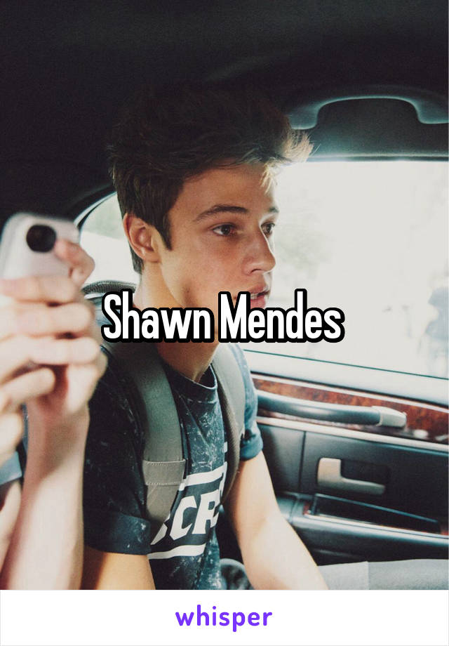 Shawn Mendes 