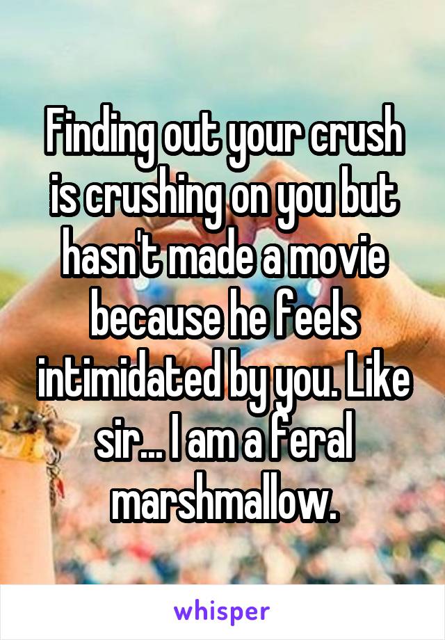 Finding out your crush is crushing on you but hasn't made a movie because he feels intimidated by you. Like sir... I am a feral marshmallow.