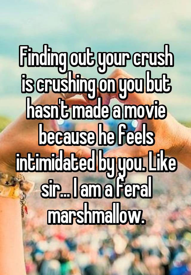 Finding out your crush is crushing on you but hasn't made a movie because he feels intimidated by you. Like sir... I am a feral marshmallow.