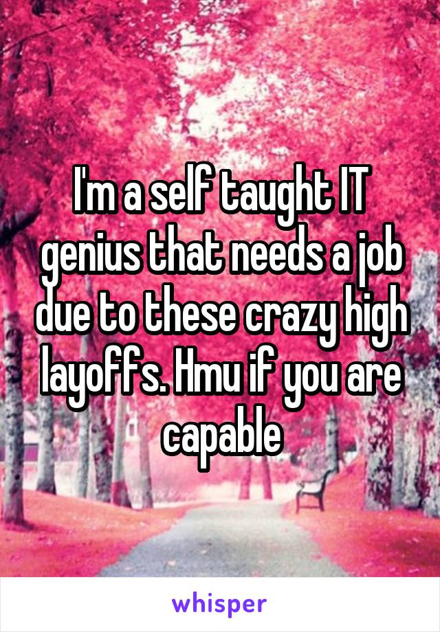 I'm a self taught IT genius that needs a job due to these crazy high layoffs. Hmu if you are capable