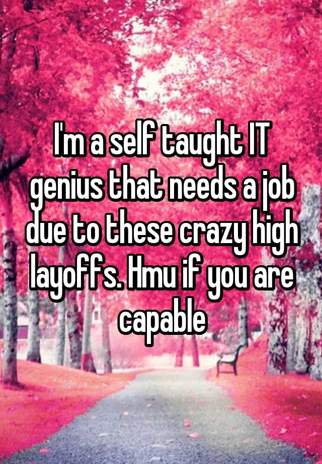 I'm a self taught IT genius that needs a job due to these crazy high layoffs. Hmu if you are capable