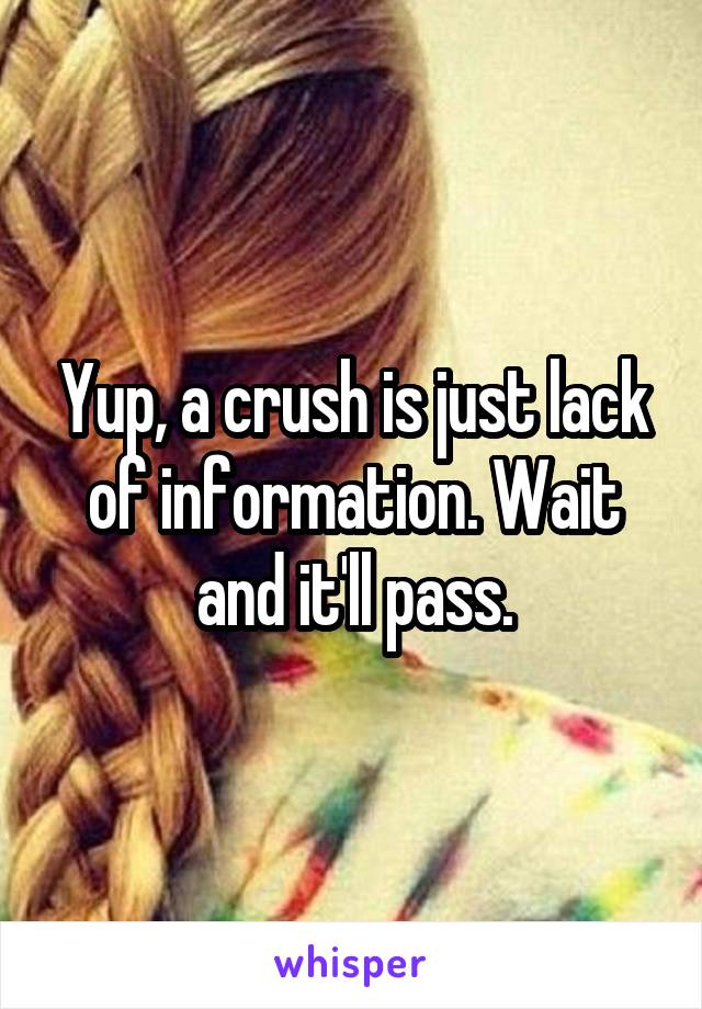 Yup, a crush is just lack of information. Wait and it'll pass.