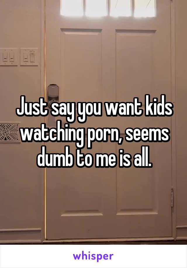 Just say you want kids watching porn, seems dumb to me is all.