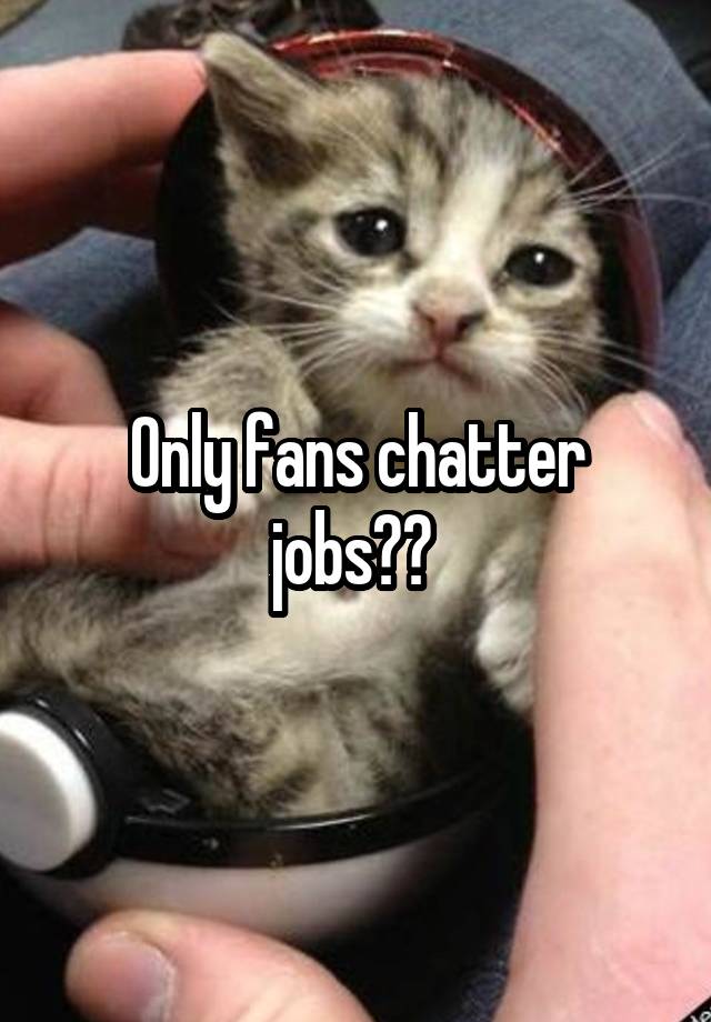 Only fans chatter jobs?? 