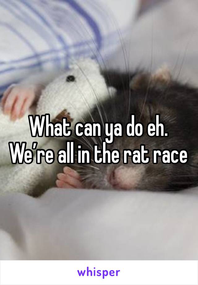 What can ya do eh. We’re all in the rat race